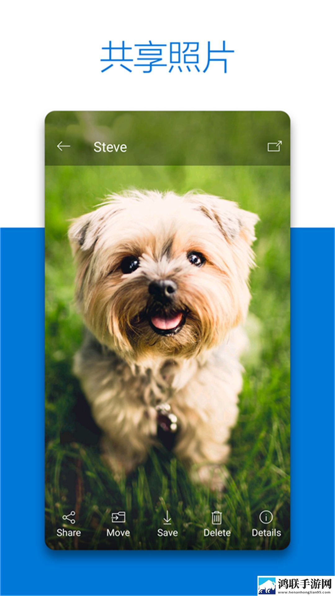 onedrive网盘安卓版下载v7.9.1-onedrive网盘免会员版下载