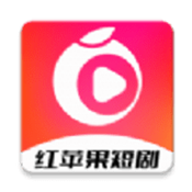 日本插槽x8是正规还是仿连麦版互动有趣
