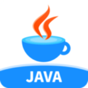 Java编程狮安卓版