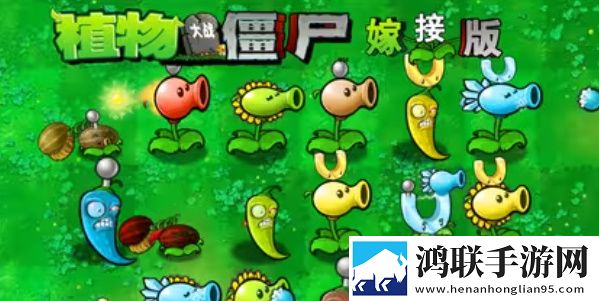 今天的高清视频在线观看高清跨服争霸版下载,今天的高清视频在线观看高清万圣惊魂夜版下载