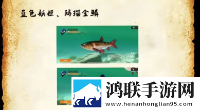 日本大妈rapper的生平经历即时战斗版下载,日本大妈rapper的生平经历摆烂也能赢版下载
