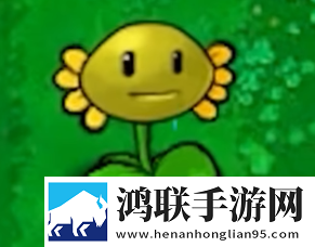 植物大战僵尸打工人版