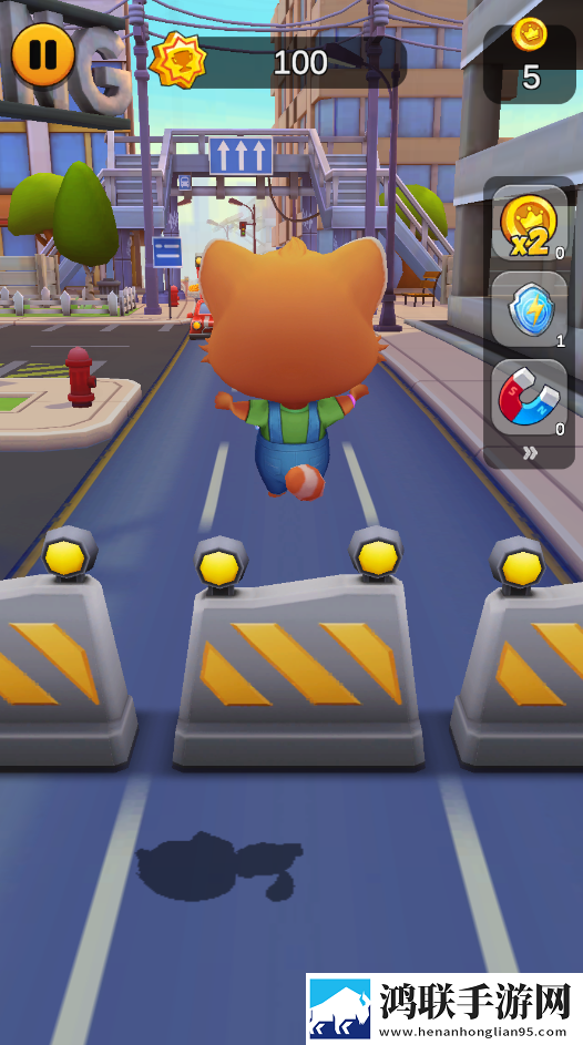 奔跑的宠物猫