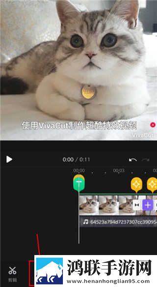 美女性直播滤镜版下载,美女性直播高帧版流畅下载