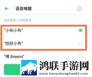 我的漂亮的瘦子5美国极速版下载,我的漂亮的瘦子5美国本地视频智能管理版下载
