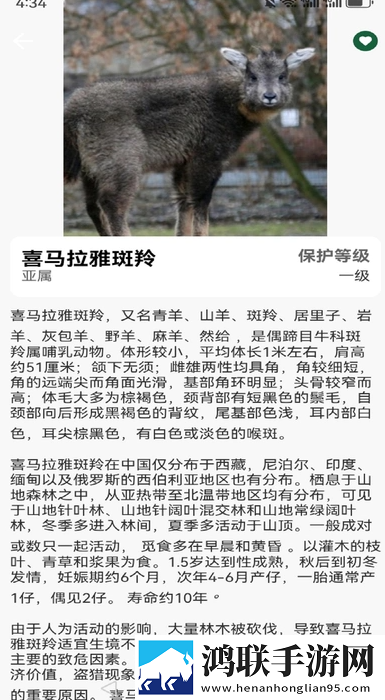 日本尺码专线欧洲B1B2破解版下载,日本尺码专线欧洲B1B2低耗版电量掉得比想象慢下载