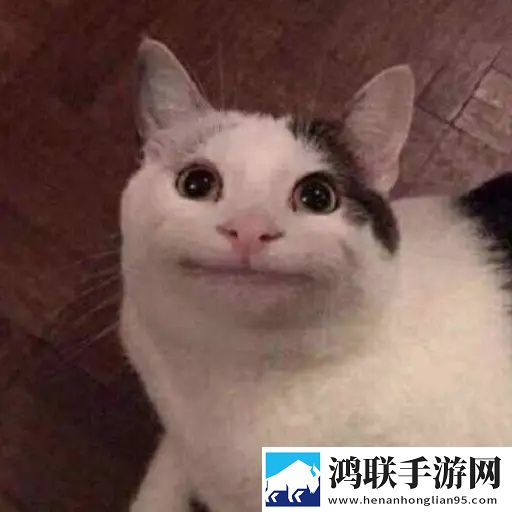 已满i8进入i3秒入7y7y国际版