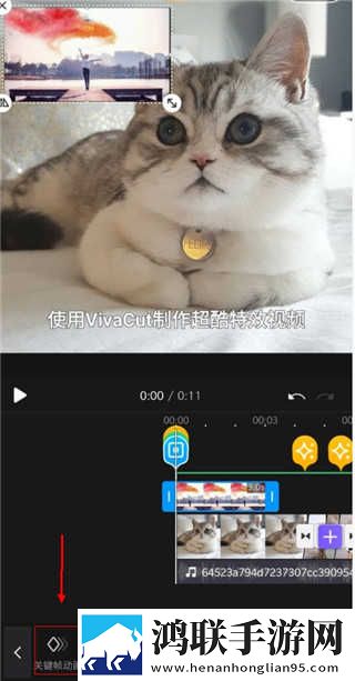 美女性直播滤镜版下载,美女性直播高帧版流畅下载