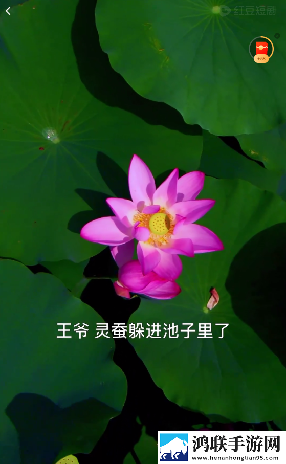 韩国公司办公室特殊待遇5动漫版下载,韩国公司办公室特殊待遇5云存储与备份版下载