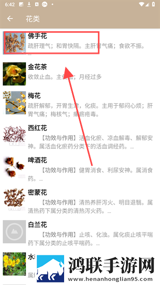 最好看的mv中文字幕国语电影微剧场版下载,最好看的m