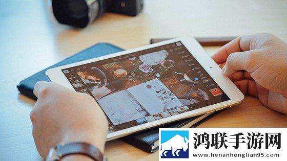 日韩与欧美产品区别对比无广告免会员版下载,日韩与欧美产品区别对比限时免费版下载
