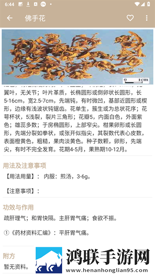 最好看的mv中文字幕国语电影微剧场版下载,最好看的m