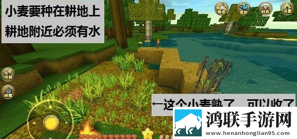 菠萝蜜在线观看免费观看电视剧全集预览版下载,菠萝蜜在线观看免费观看电视剧全集智能配音版下载