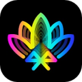 女人老了大阴曆的变化多线路版