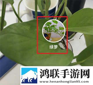 成版直播APP下载大全稳播版下载,成版直播APP下载大全智能版自动优化下载