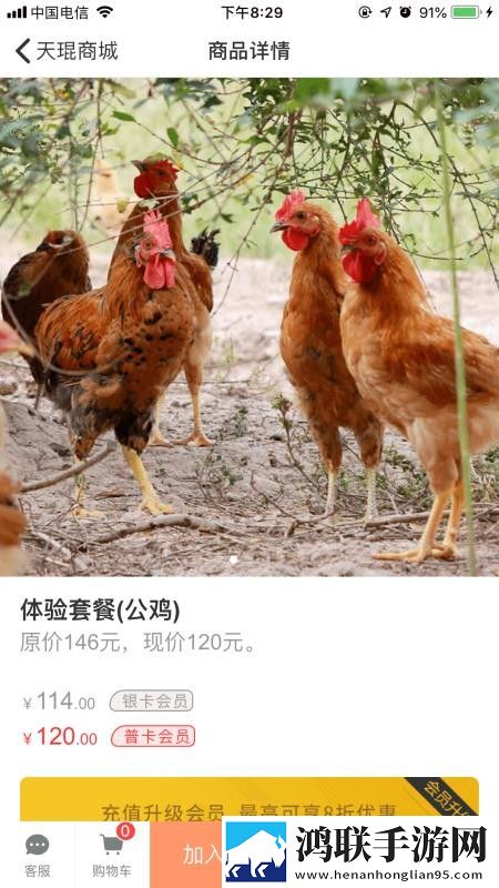 看B站二十四小时直播间网络版下载,看B站二十四小时直播间节日限定福利版下载