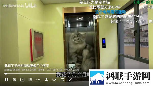 老阿姨频繁玩小鲜肉是心理疾病吗AR版下载,老阿姨频繁玩小鲜肉是心理疾病吗情感版感人下载