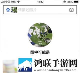 成版直播APP下载大全稳播版下载,成版直播APP下载大全智能版自动优化下载