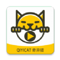 国产又爽 又黄 游戏安装版