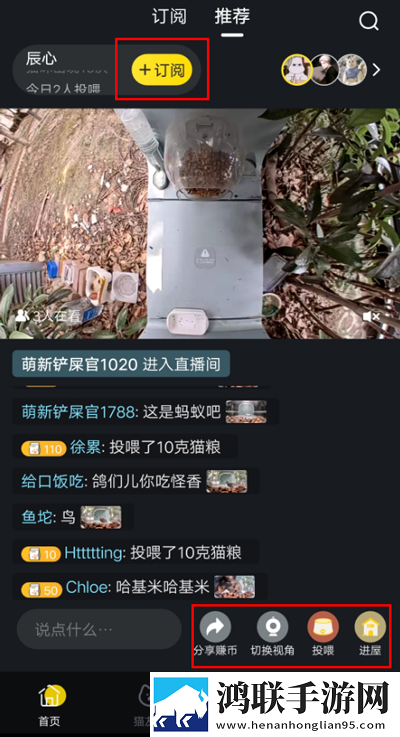 伊人直播网站怀旧版下载,伊人直播网站4K版画质对比下载