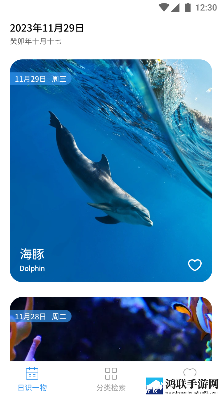 黄金网站9.1免费网站入口直播通用版本下载,黄金网站9.1免费网站入口直播学校教学专用版下载