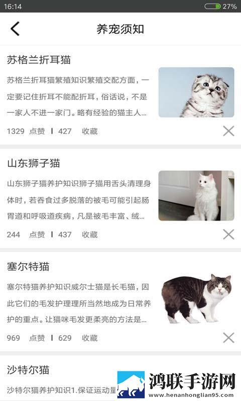 无人区高清电影免费合集版下载,无人区高清电影免费预约版提醒下载