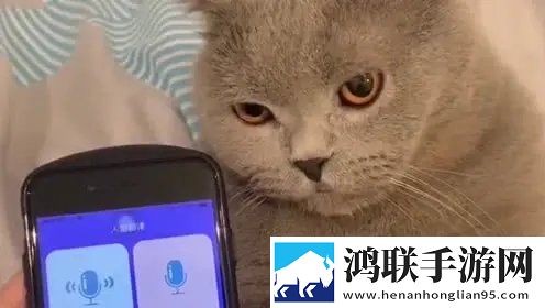17.c1起草的离线版下载,17.c1起草的无广告清爽版下载
