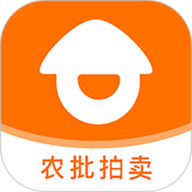 开处见血高清在线观看评论版
