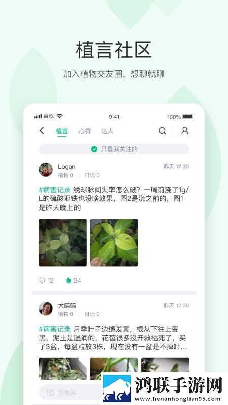 萌白酱小熊套装vip甜味弥漫价格预览版下载,萌白酱小熊套装