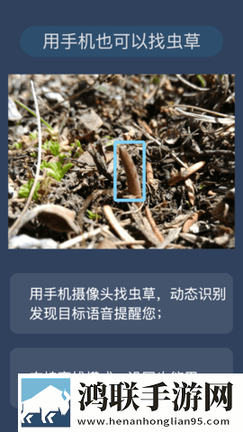 开处见血高清在线观看清爽版下载,开处见血高清在线观看护眼播放版舒适下载