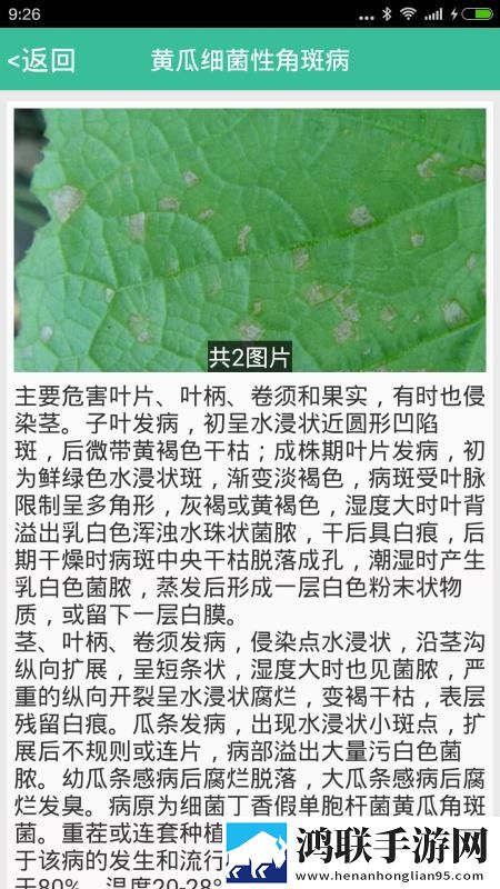 韩国做aj的视频大全弹幕版下载,韩国做aj的视频大全高清重制版下载
