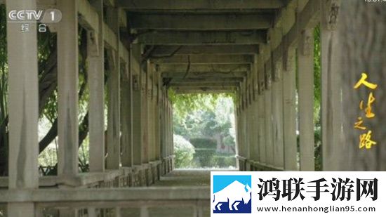 萝卜9·1黄蓝光版,萝卜9·1黄智能识别内容版