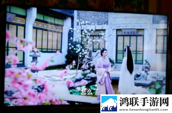 春雨直播正版下载极清版下载,春雨直播正版下载小窗版边看边聊两不误下载