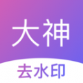 免费看美女隐私直播APP免费观看版