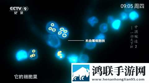妈妈你真棒插曲最后接吻是谁单人版,妈妈你真棒插曲最后接吻是谁投屏版电视播放