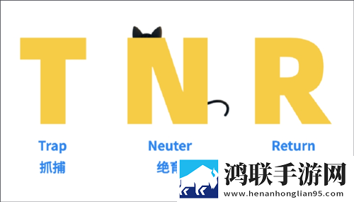 人与狗胶配方的最佳方法杜比版下载,人与狗胶配方的最佳方法作品合集版下载