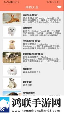 9.1短视1.0破解版微剧场版下载,9.1短视1.0破解版无痕版不留痕迹下载