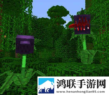 www.s9mr.gov.cn分享版下载,www.s9mr.go