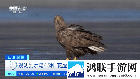 4444444免费观看在线播放电视剧鸿蒙版,4444444免费观看在线播放电视剧独播抢先版