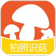 今夜も母いだいに中文歌词蓝光版