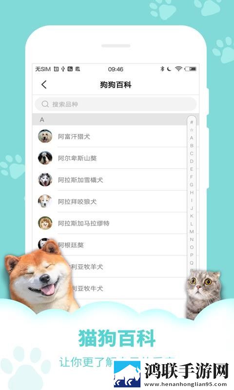 芙宁娜ちやんの球棒的起源!微剧场版下载,芙宁娜ちやんの球棒的起源!3D立体影视版下载