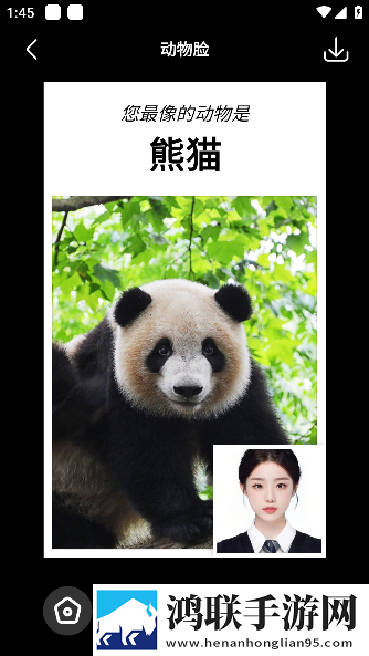 杨大壮和桂花的第二十九无弹窗版下载,杨大壮和桂花的第二十九循环版单曲循环看不够下载