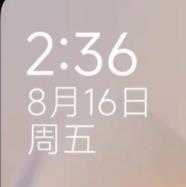 2025绿色版小米10至尊纪念版HyperOS