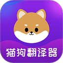 适合夫妻二人观看的影片怦然心动群聊版