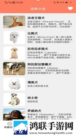 课后2对1特别授课旗舰版下载,课后2对1特别授课语音搜索便捷版下载
