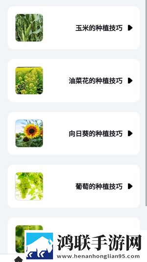 零七直播最新完整版下载,零七直播智能播放列表生成版下载