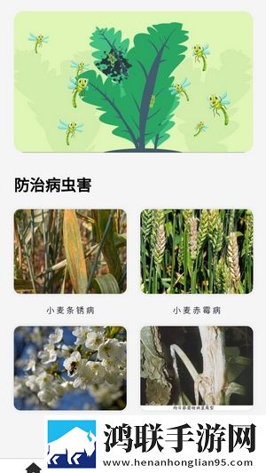 零七直播最新完整版下载,零七直播智能播放列表生成版下载