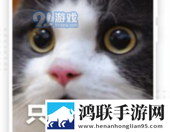 B站暴躁少女csgo直播画中画版,B站暴躁少女csgo直播自动播放版省心