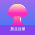 对准了自己动不然不给下一句悬疑版