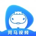 月夜直播免费观看同传版